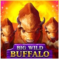 Logo of Big Wild Buffalo from Belatra Games at Gama Casino