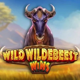 Wild Wildebeest Wins – slot by Pragmatic Play, featured at gamacasino.eu